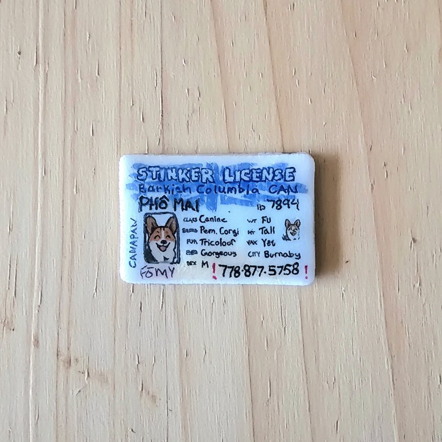British Columbia driver's license collar charm - Lil Stinker Co.