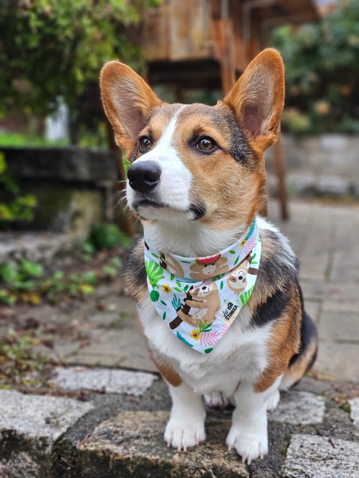 Lazy Lovely Bandana - Lil Stinker Apparel