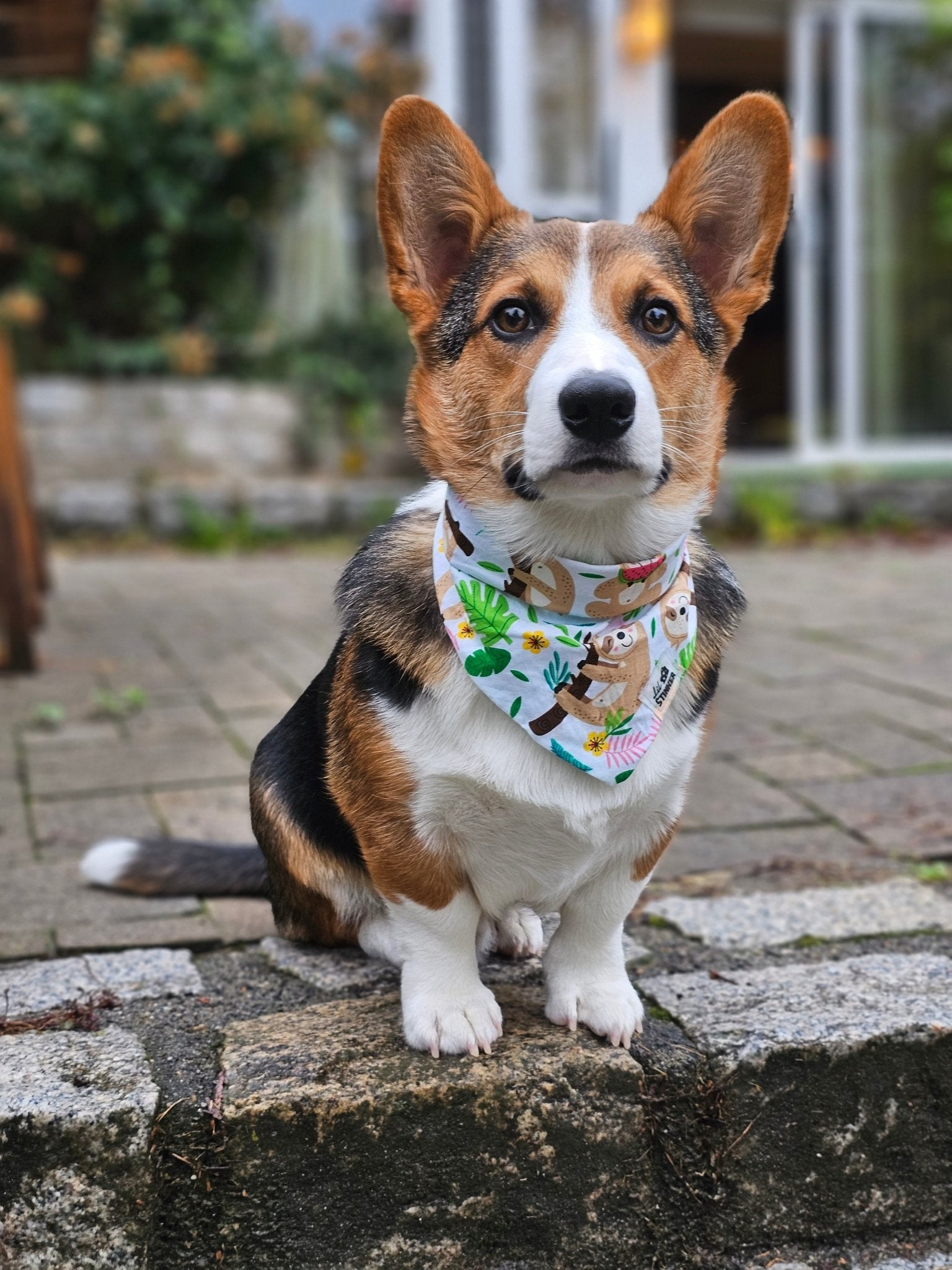 Lazy Lovely Bandana - Lil Stinker Apparel