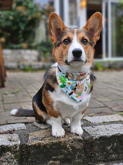 Lazy Lovely Bandana - Lil Stinker Apparel