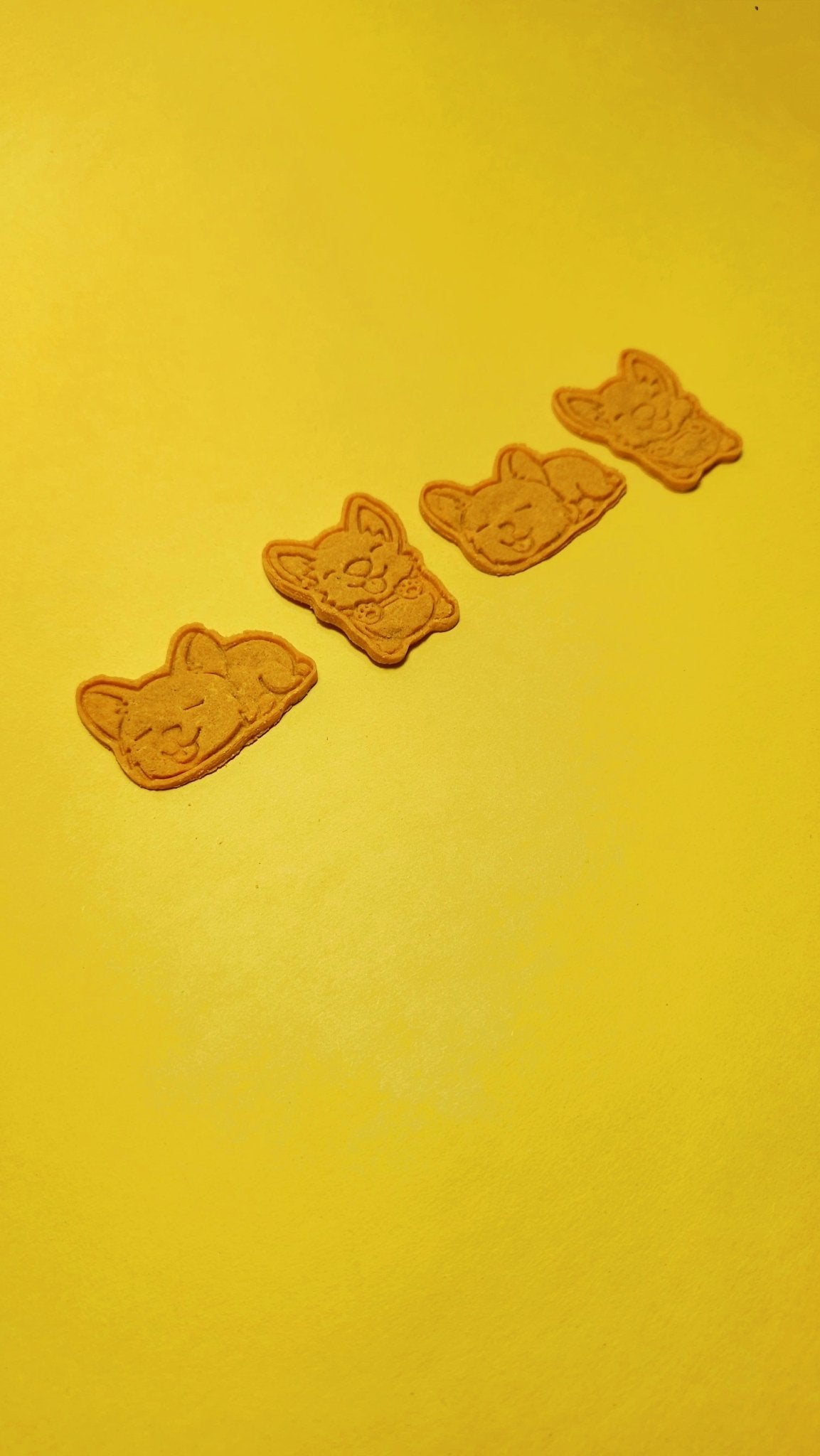 Rice & Tasty Cookies - Lil Stinker Co.