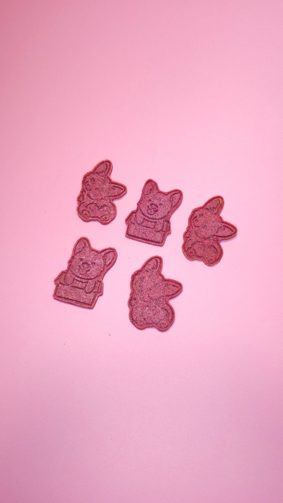 Rice & Tasty Cookies - Lil Stinker Co.