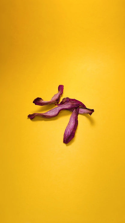 Sweet Poo - tato Chews - Lil Stinker Co.